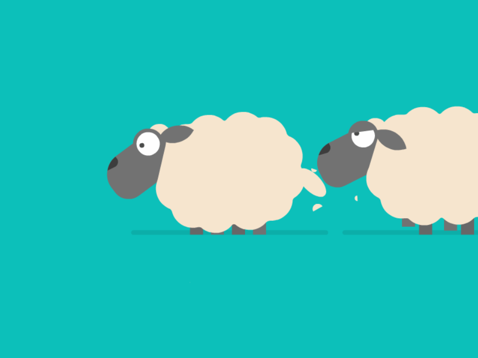 Sheep Breed Classification